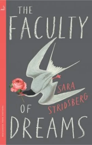 The Faculty of Dreams